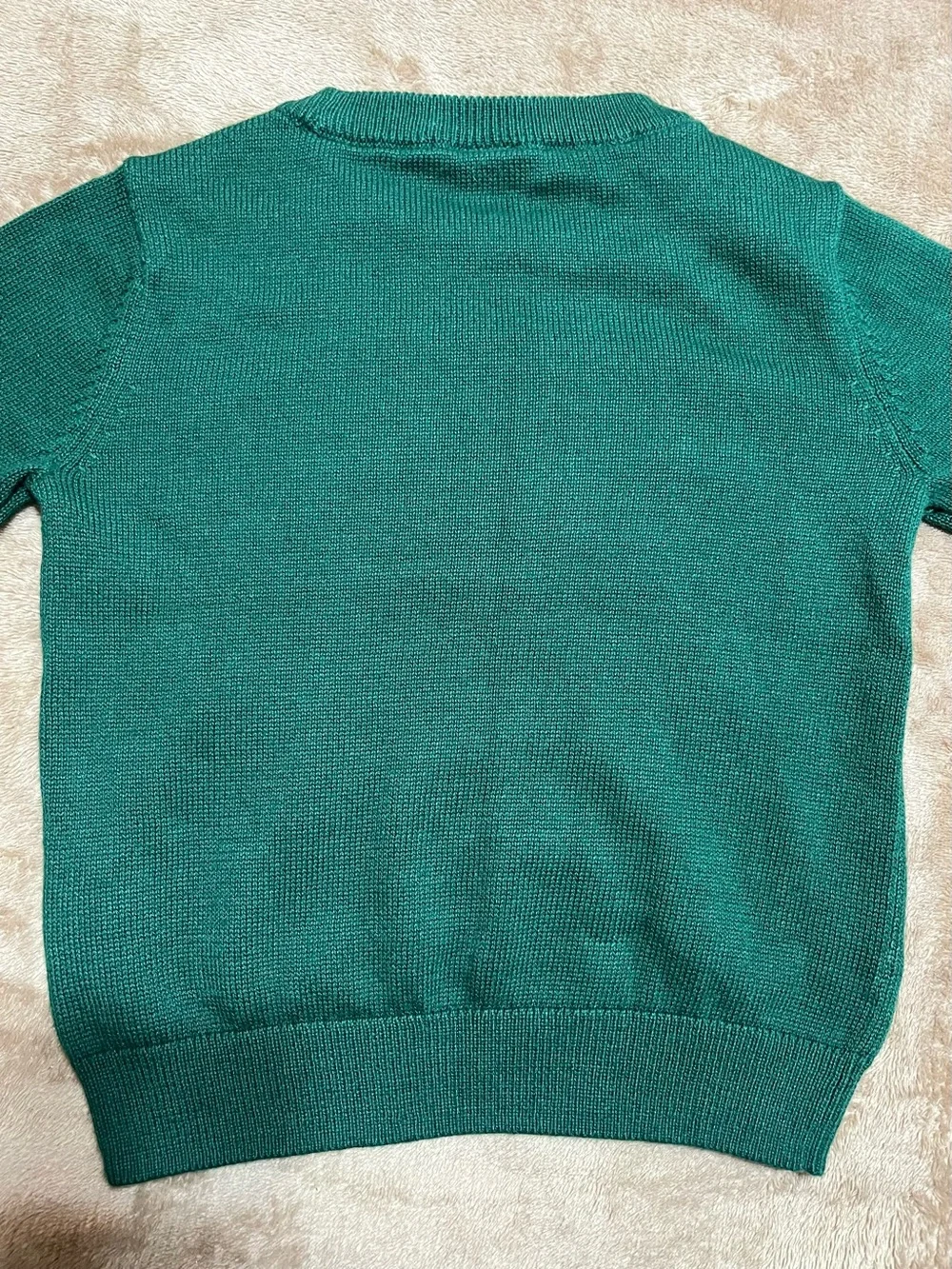 GAP crewneck sweater